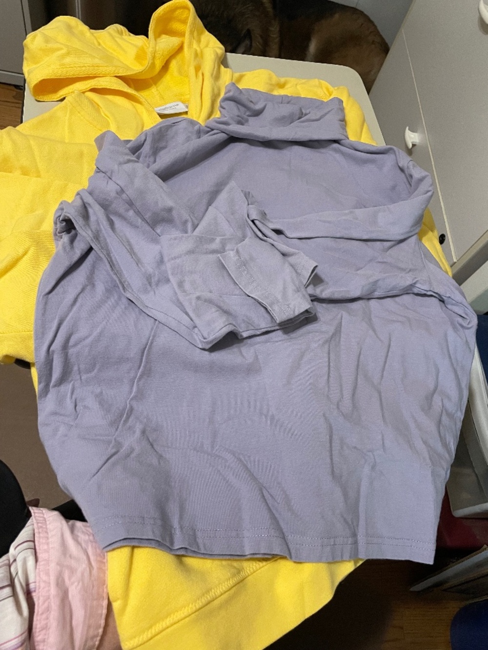 Ladies Liz Claiborne Zip Hoodie and Eddie Bauer Turtleneck